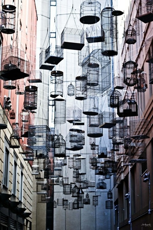 bird cages wired cages hanging ceiling installation magical urban void photography art architecture photo surrealArtist Michael Thomas Hill created Forgotten Songs, an installation of 110 empty birdcages suspended high in the air that play the songs of fifty birds that once lived in central Sydney before the colonization and urbanization of the area