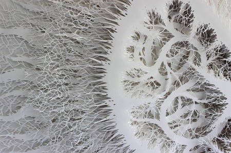 Incredibly intricate art pieces cut out of paper by artist Rogan Brown who "creates intricate sculptural forms reminiscent of microorganisms, plant life, and topographical charts by deftly cutting patterns in layer after layer of paper. A single work can take upward of five months to complete, and just like the organic forms he seeks to emulate the piece evolves as he works without a preconceived direction or plan."